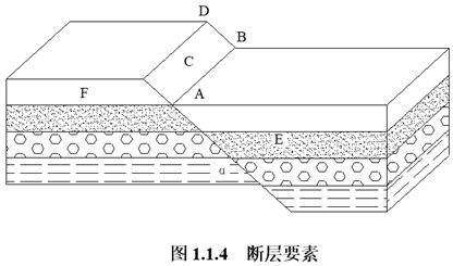 圖片20